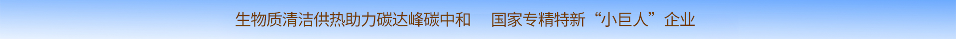 生物质锅炉,秸秆直燃锅炉,粮食烘干热风炉,海伦利民节能锅炉制造 -国家专精特新小巨人企业